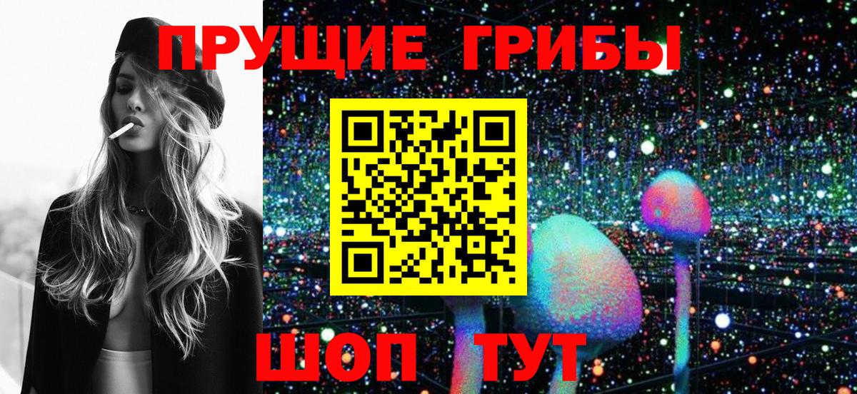 Псилоцибиновые грибы прущие грибы  Вход с VPN  Светлоград 