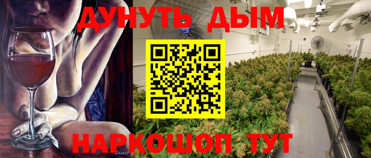 Конопля план Светлоград
